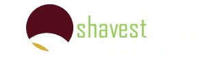 shavest